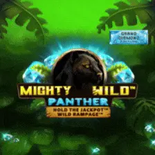 Обкладинка Mighty Wild Panther в огляді Allwin